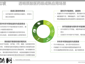 日本一码、二码、三码的功能解析与应用场景详解