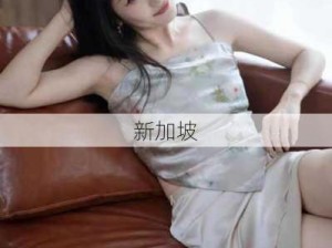 风流少妇被粗大爽ⅩXOO：优雅少妇的激情邂逅