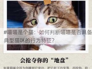 #喵喵是个猫：如何判断喵喵是否具备典型猫咪的行为特征？