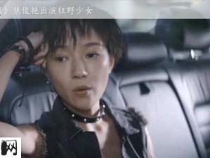 《狂野少女》哔哩哔哩免费观看指南：中文完整版获取技巧与用户评价