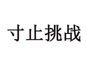 寸止挑战：如何有效提升寸止挑战的技巧与效果？