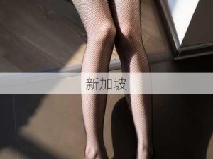 48岁东北阿姨感慨“无人相伴”：社交孤独与心态调适的现实挑战