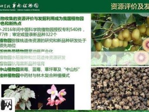 方舟生存进化，引火粉制造与资源高效管理策略