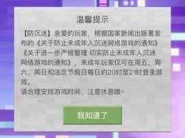 探索我的世界中的保护机制与其它游戏的独特之处