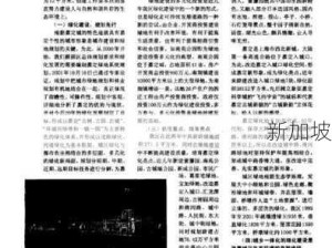 91网站：探索社交、娱乐与学习的和谐共存之道