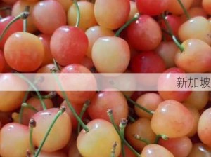 黄蜜大樱桃VS红蜜：口感外观有何不同？