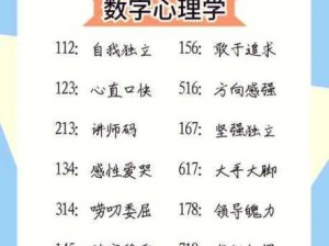 243：数字之谜：探索243的奥秘