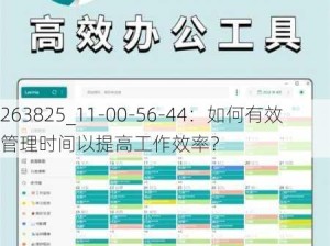 263825_11-00-56-44：如何有效管理时间以提高工作效率？