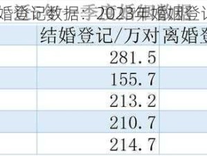 2023年结婚登记数据：2023年婚姻登记统计报告