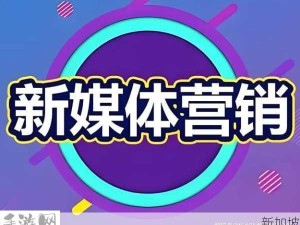 创新模式助力品牌曝光与转化：趣夜传媒的成功之道