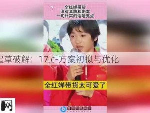 17.c-起草破解：17.c-方案初拟与优化