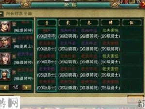 帝王三国攻略，揭秘快速升级至99级的独门秘籍