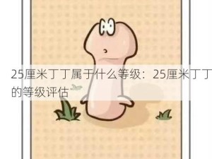 25厘米丁丁属于什么等级：25厘米丁丁的等级评估