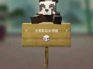 跨文化碰撞：中外玩家在Minecraft中的幽默互动与误解