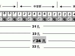 半音阶口琴和复音口琴的区别：半音阶口琴与复音口琴在演奏中有何不同？