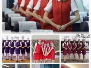 高铁乘务员需要什么学历：高铁乘务员学历要求解析