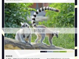 zoo是什么意思：动物园的含义及其背后的文化意义是什么？