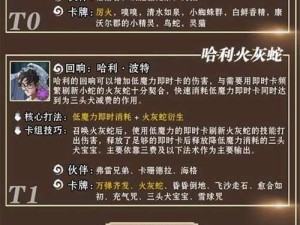 哈利波特魔法觉醒，深度解析哈利回响卡组策略与价值提升