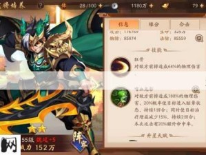 少年三国志2武将满星后碎片管理，资源高效利用策略解析