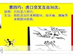 家庭轮换卡：如何合理安排家庭轮换卡，提升生活效率？