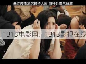 1313电影网：1313影视在线