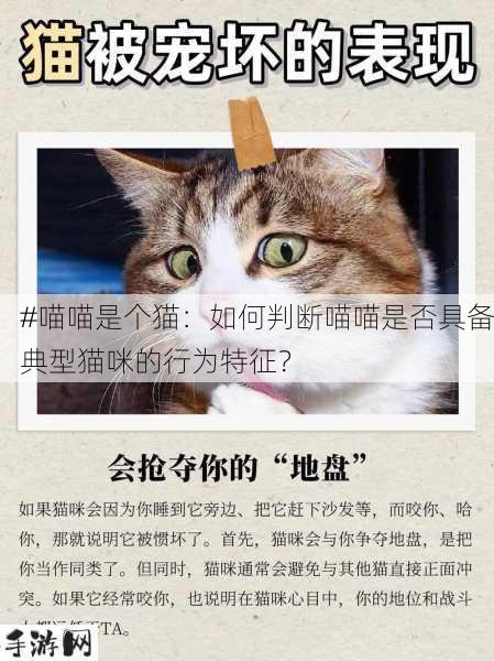 #喵喵是个猫：如何判断喵喵是否具备典型猫咪的行为特征？