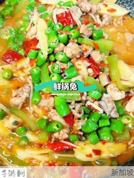 如何制作美味兔子煲料理？详细步骤分享