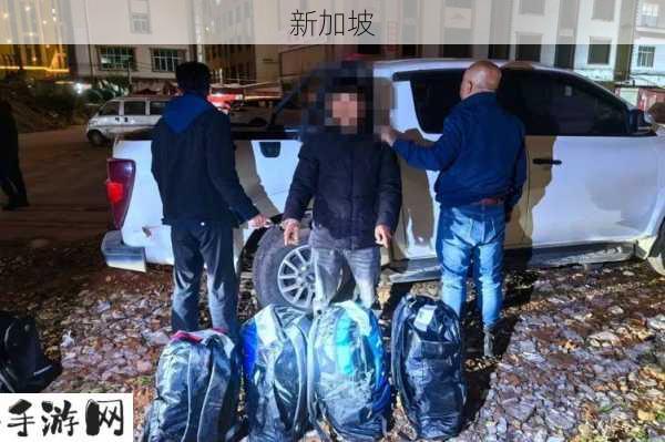 重案实录水箱藏尸(国粤语无字)：水箱藏尸案真相：案件细节与侦破过程全解析