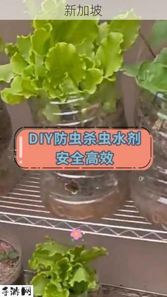 明日之后普通防虫剂功能及制作方式介绍：防虫剂如何发挥效用？DIY教程揭秘