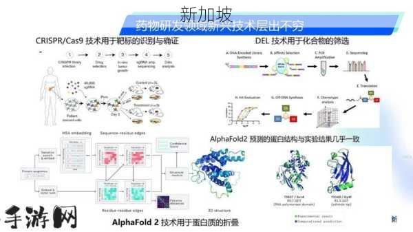 IMP生物化学：IMP生物化学：如何理解其在生命科学中的关键作用？