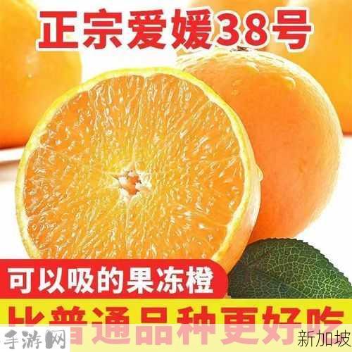 део+38：如何选择适合的38号产品？