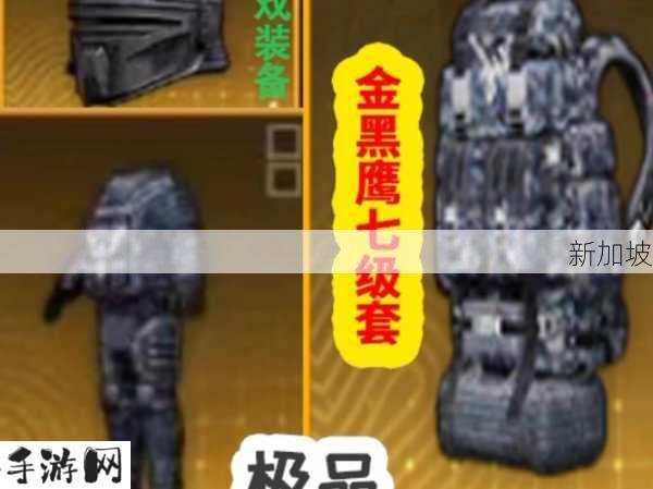 弹壳特攻队金色装备获取秘籍，从平凡到卓越的蜕变