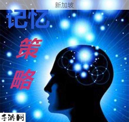 饥荒哑铃功能与刚子阵营选择，资源管理的高效策略