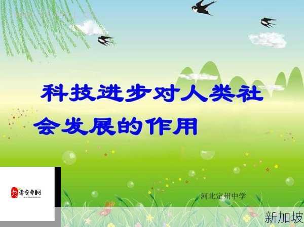 日本无人区编码系统解析：如何推动社会管理与进步？