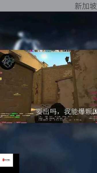 暴躁老阿姨CSGO秀：魅力争议两重天？