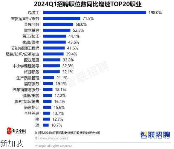 成品人与精品人的差异：生活态度与职业发展的深度剖析