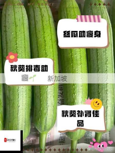 网络热门蔬果探秘：草莓丝瓜榴莲秋葵黄瓜魅力解析