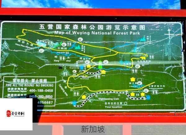 伊春园2023入口指南：如何提前准备，顺利开启旅程？